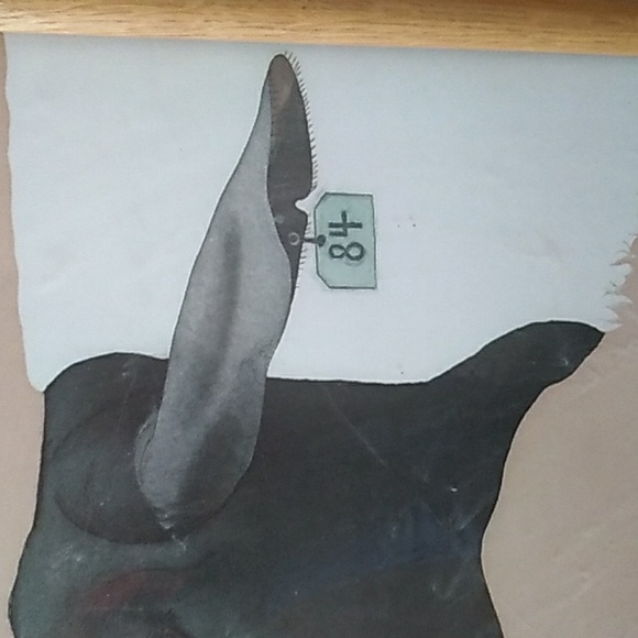 BETH VAN HOESEN Framed Art Ewe #84 - Picture 6 of 16